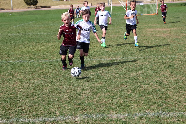 的超级巨星 的超级巨星