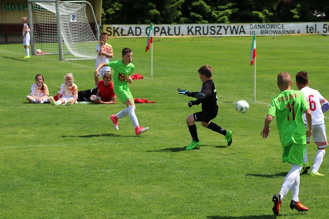 着数百万的 着数百万的