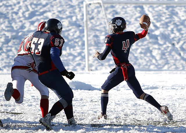 靠明星球员 靠明星球员