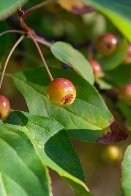 定的整体发 定的整体发