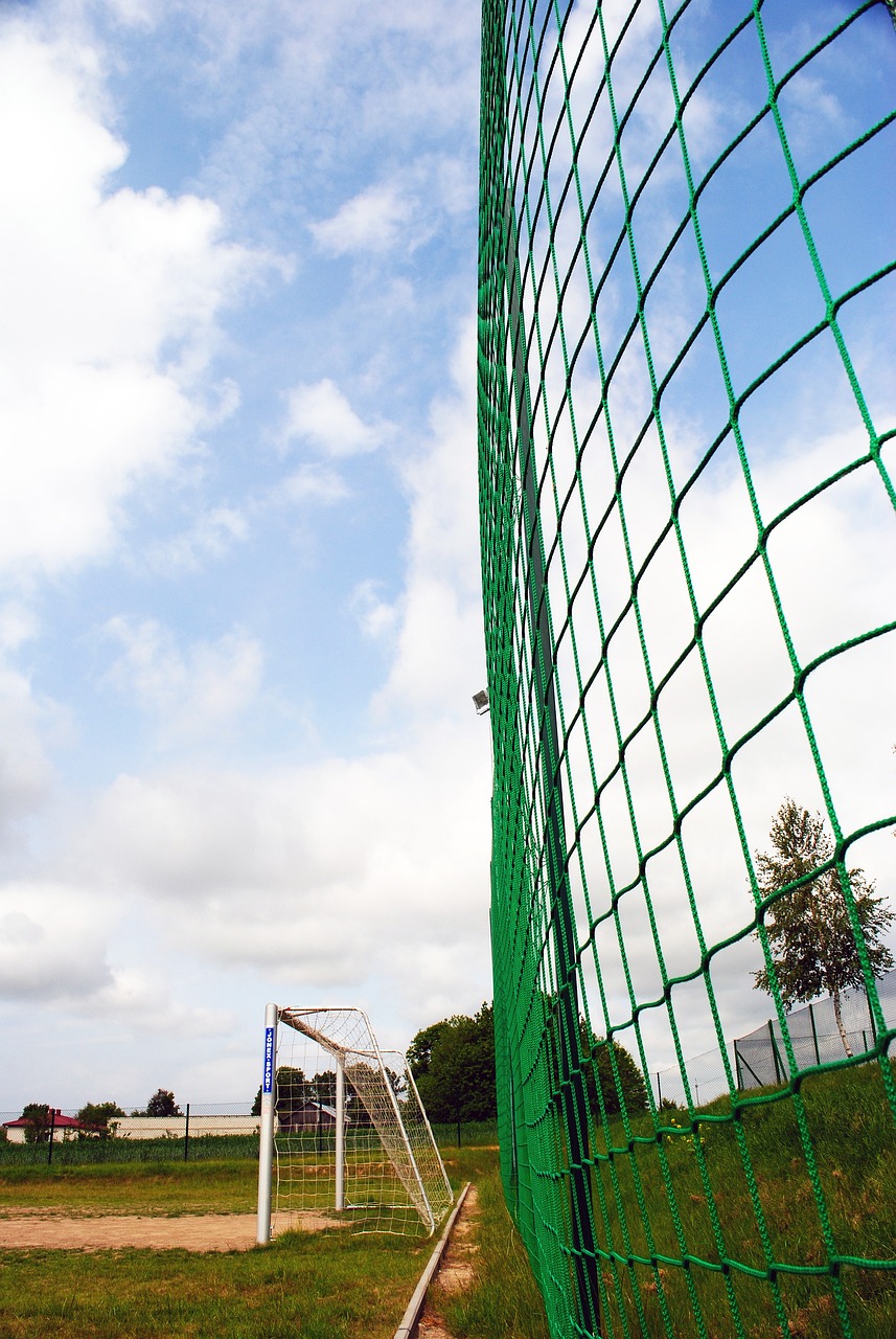 另一个焦点 另一个焦点