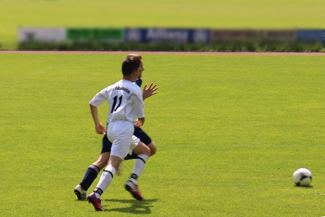 物馆彼此相 物馆彼此相