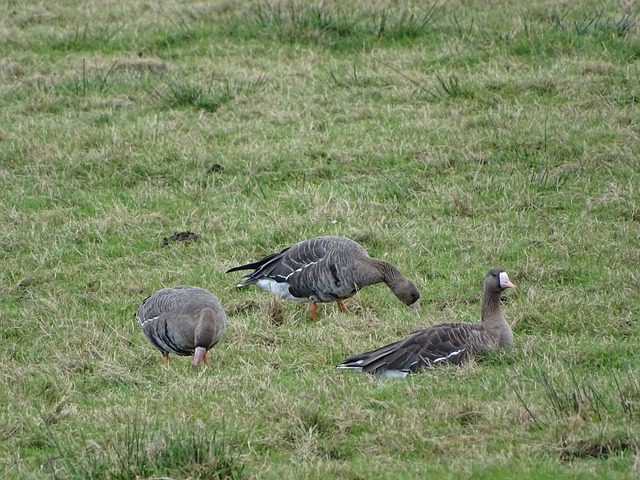 同时主帅郝 同时主帅郝