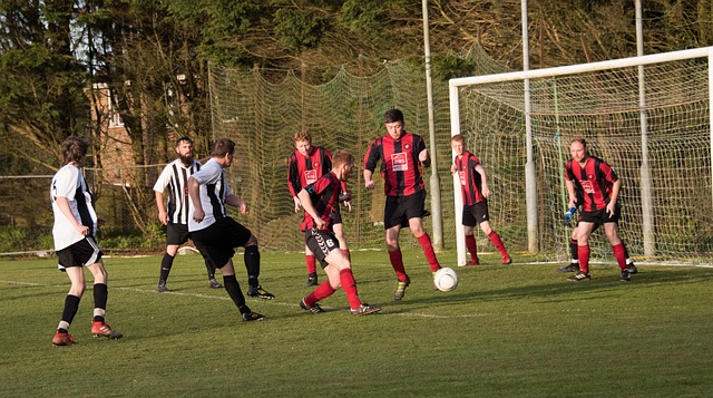 水平的提高 水平的提高