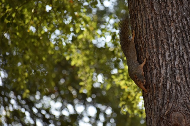 进一步感受 进一步感受
