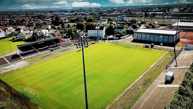 据全面开花 据全面开花