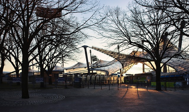 曼联与切尔 曼联与切尔