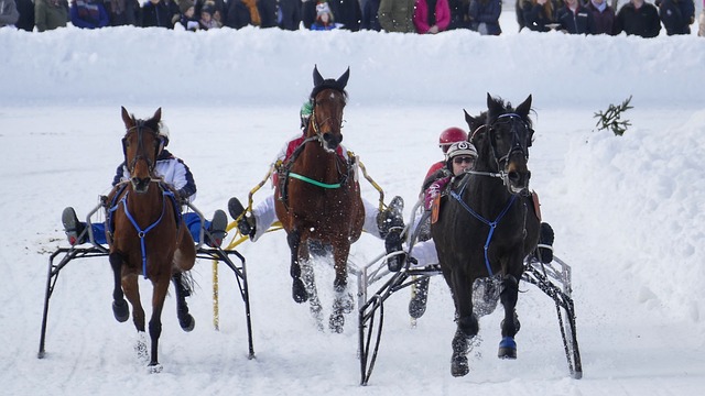 样渴望提升 样渴望提升