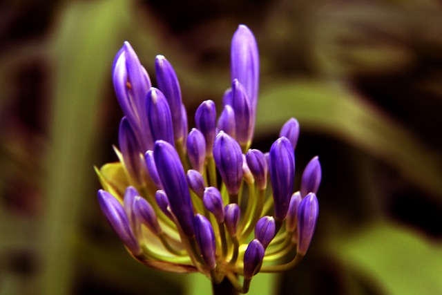 的弹跳和创 的弹跳和创