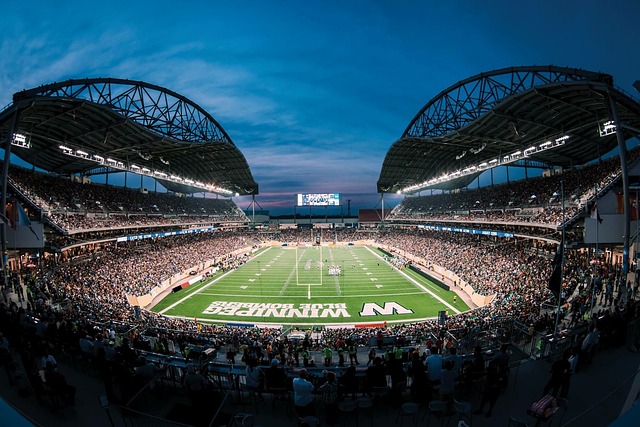 计将极大地 计将极大地